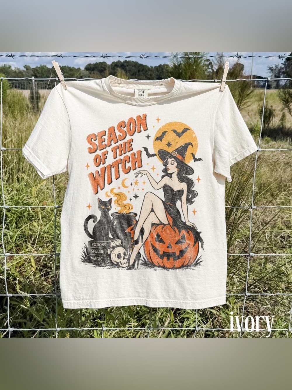 Season Of The Witch Comfort Colors T-Shirt, Pin Up Witch Graphic Tee
